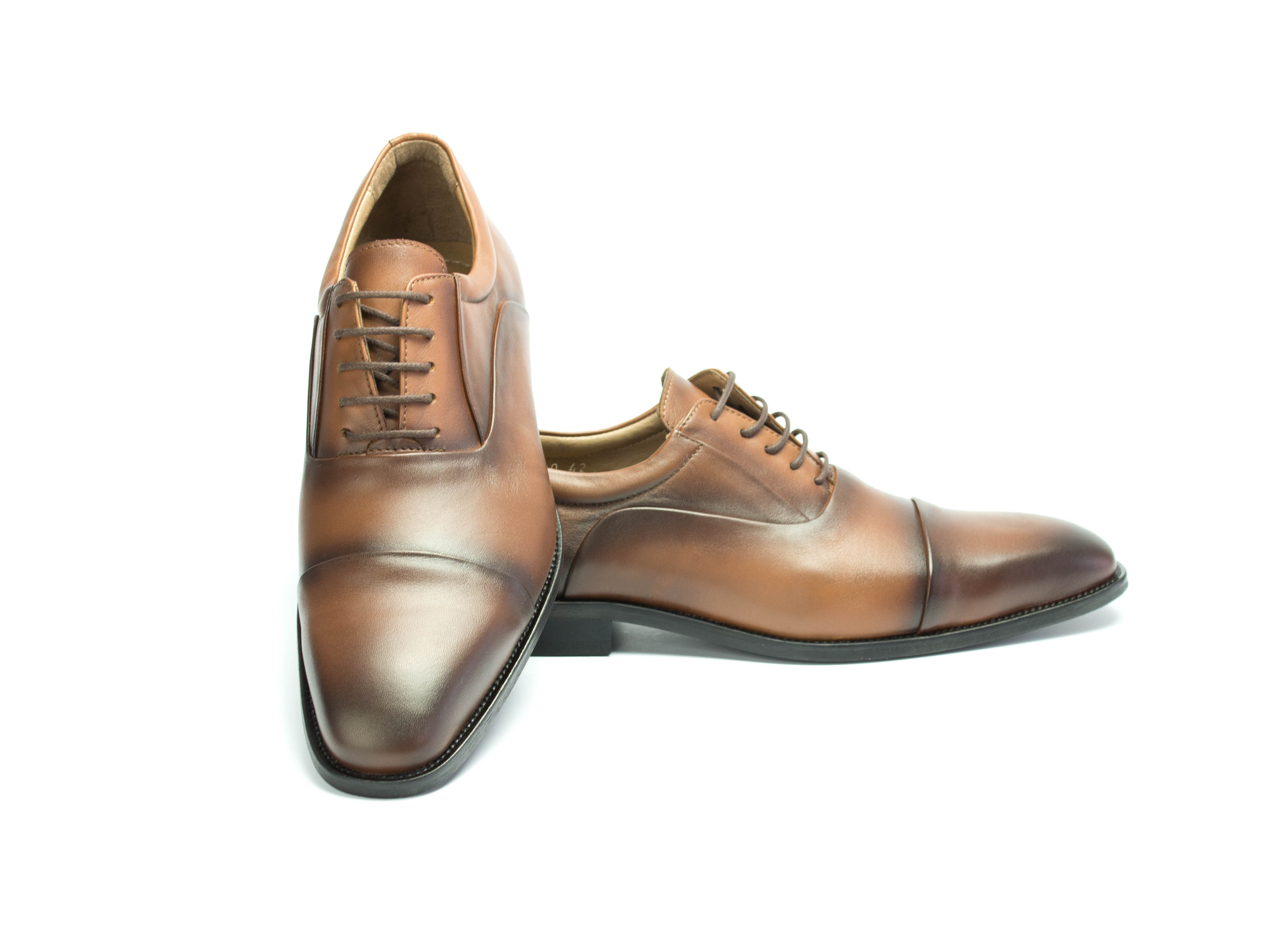 Oxford Herrenschuhe Darcy cognac