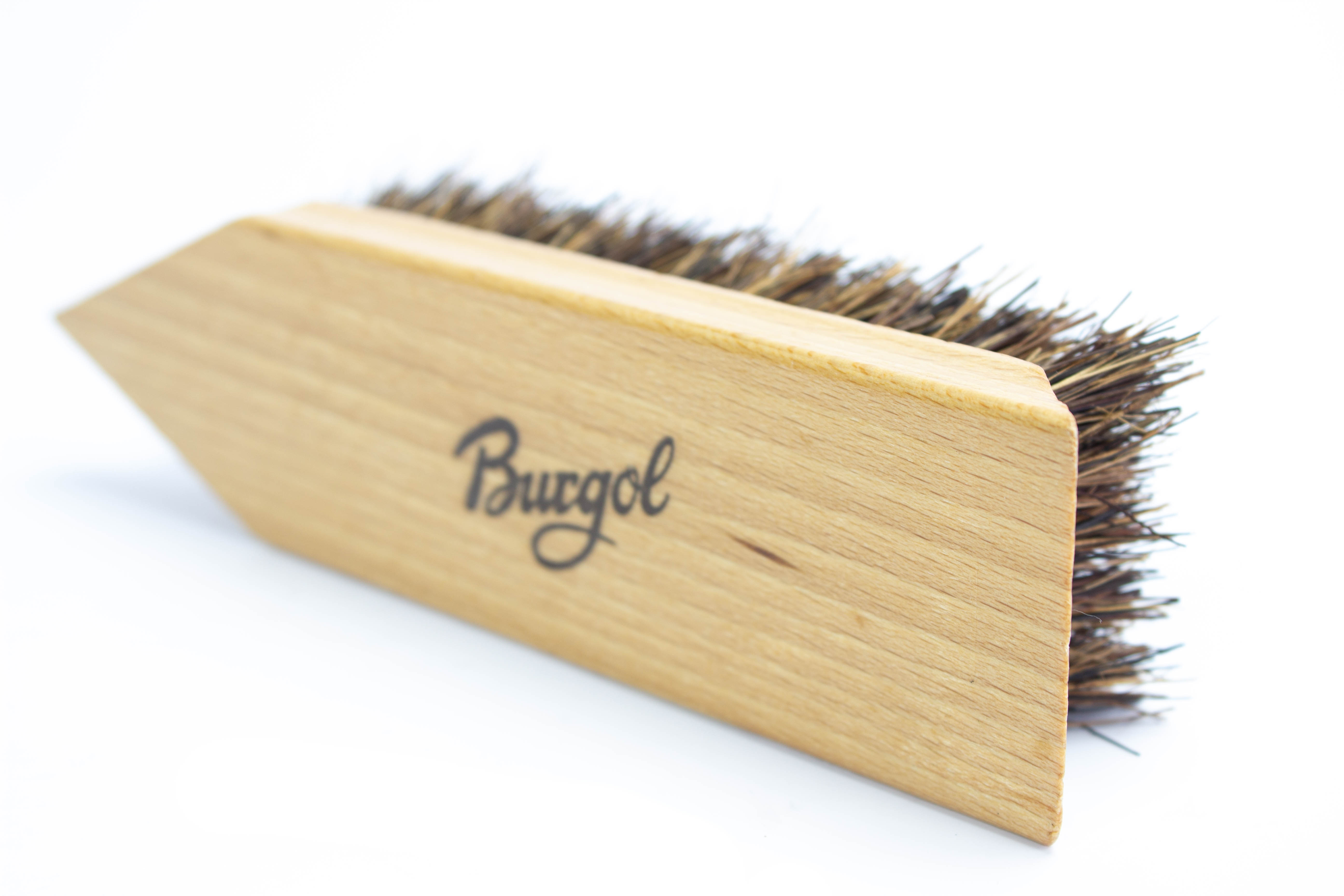 IMG_3111 Burgol Schmutzbürste